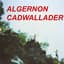 Algernon Cadwallader