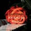 Lisztlovers