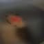 Aryan