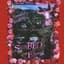 Ariel Pink's Haunted Graffiti