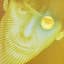 Lou Reed