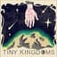 Tiny Kingdoms