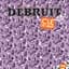 Débruit