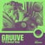 Gruuve