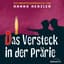 Wildwest-Abenteuer